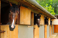 free Muirton stable construction quotes